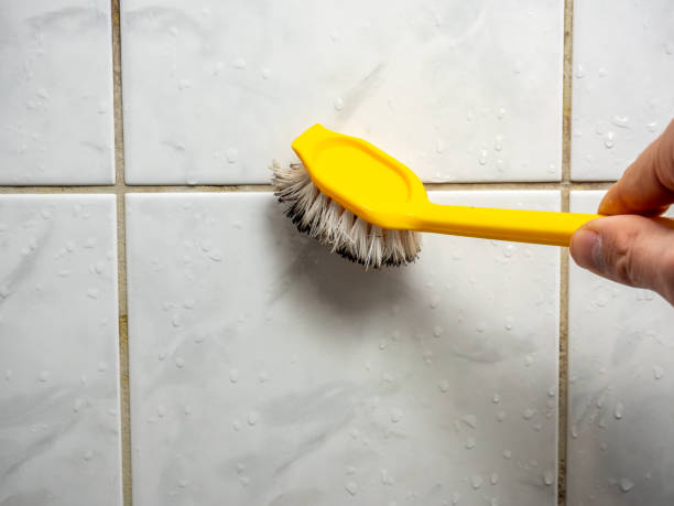 Best Black Mold Removal  in Eddington, PA