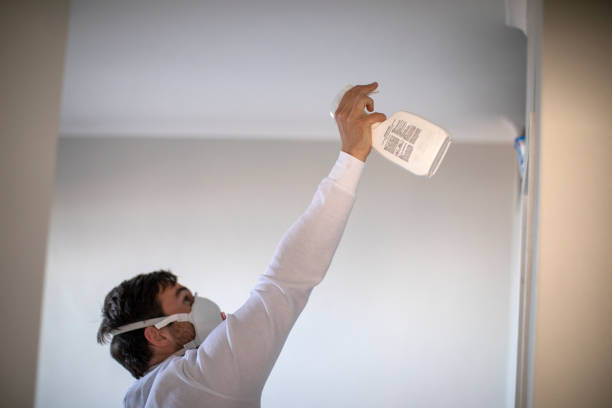 Eddington, PA Mold Removal Company