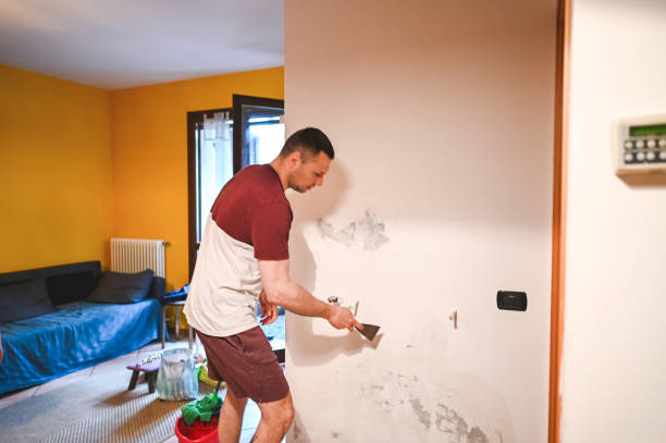 Mold Testing and Removal in Eddington, PA
